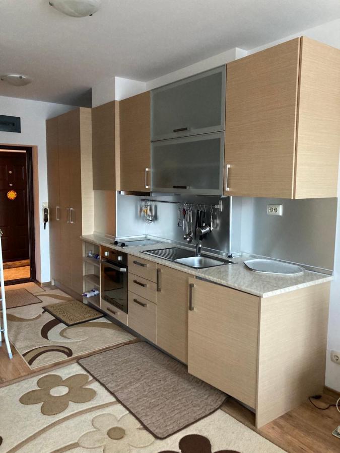 Studio Detelina Residence Bansko Exterior foto